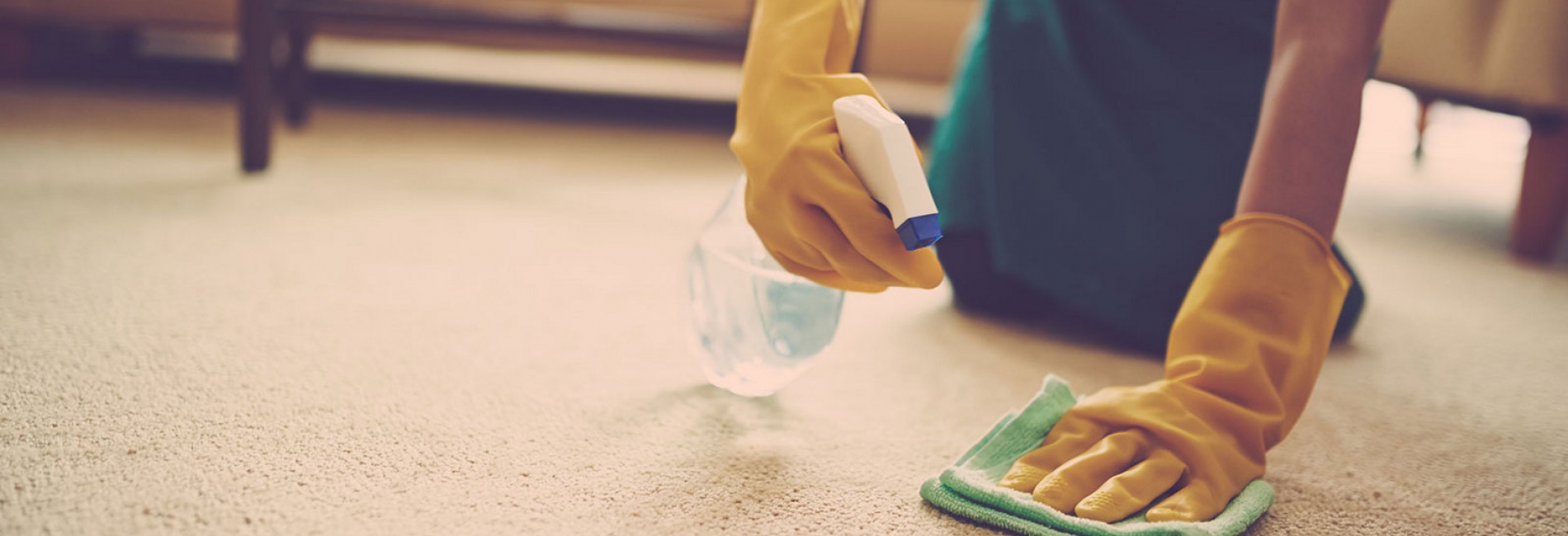 Carpet service prices actions and discounts