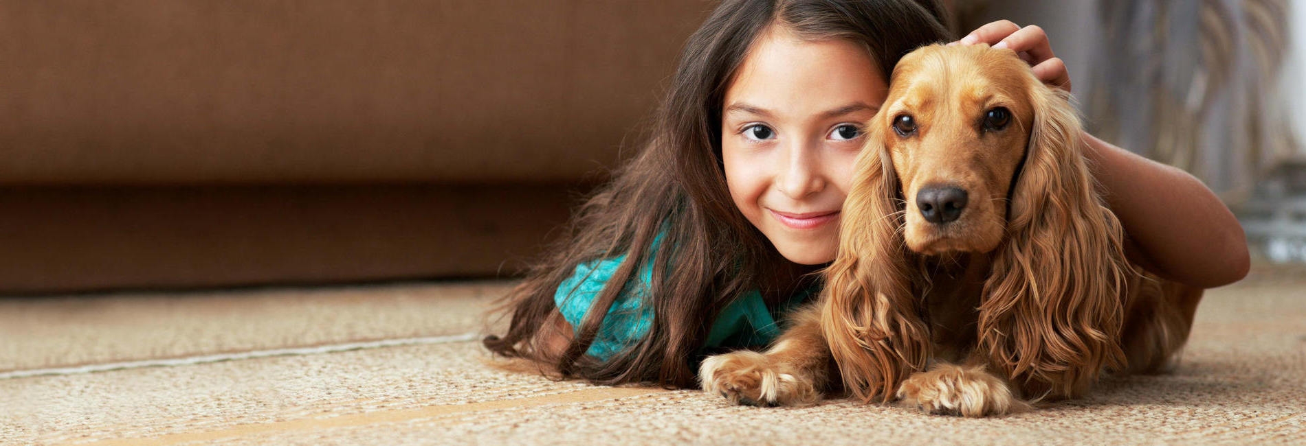 Deep cleaning of carpets