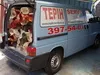 Carpet transport and terrain service