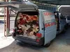 Carpet transport and terrain service