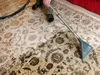 Vacuum cleaning and shaking