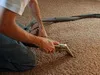 Vacuum cleaning and shaking