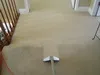 Vacuum cleaning and shaking