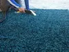 Vacuum cleaning and shaking